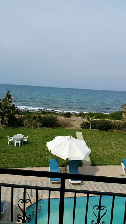 Olgas Villa Agia Marina  Oda fotoğraf