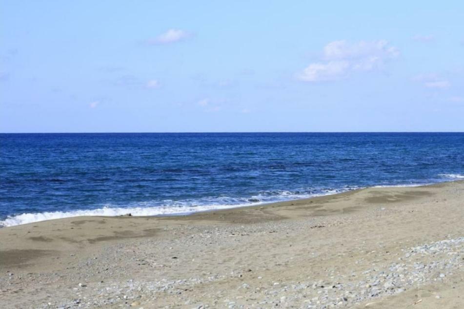 Olgas Villa Agia Marina  Dış mekan fotoğraf